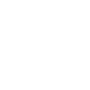 Anna Wang