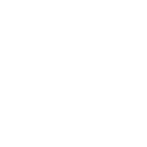 Maestria